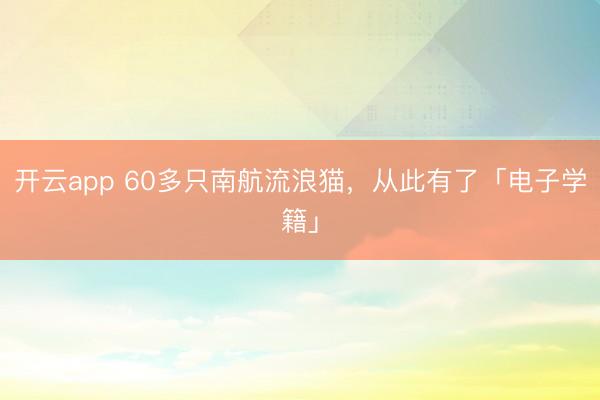 開(kāi)云app 60多只南航流浪貓,從此有了「電子學(xué)籍」