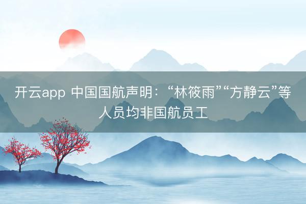 開云app 中國國航聲明:“林筱雨”“方靜云”等人員均非國航員工